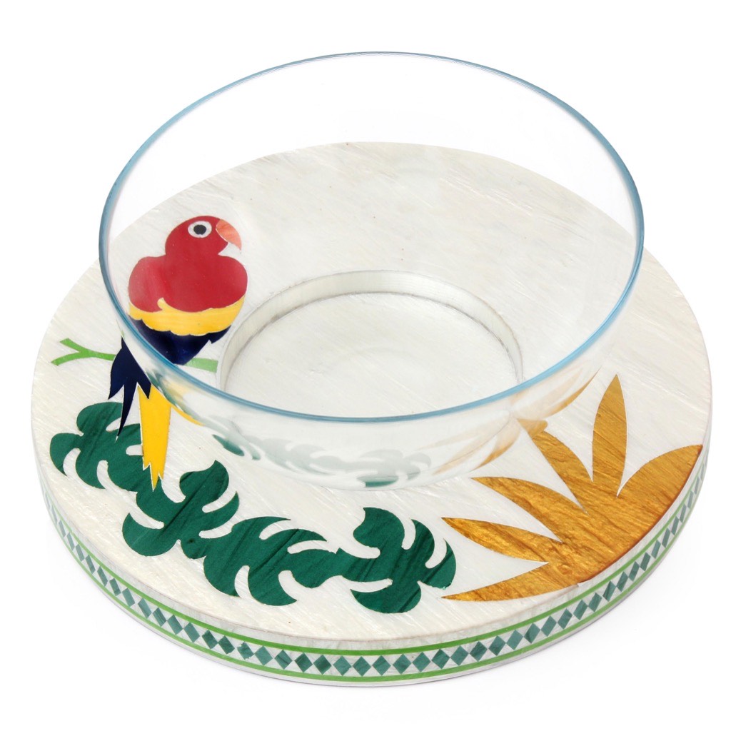 The Tropical Collection: The Macaw Salad Bowl