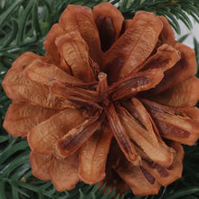 Load image into Gallery viewer, Bianca Cone Wreath
